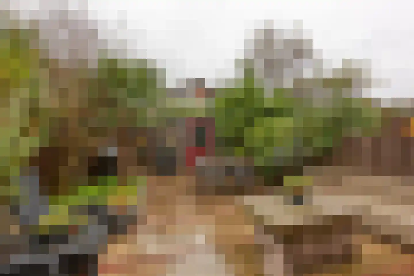 Dijkwacht 76 Leiderdorp thumbnail 8