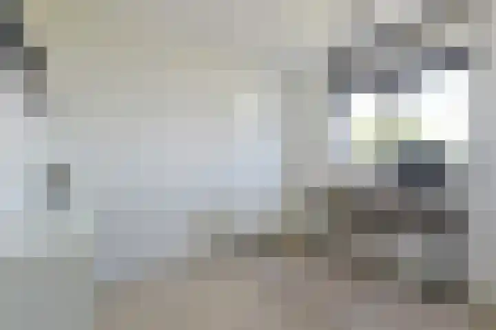 Dijkwacht 86 Leiderdorp thumbnail 14
