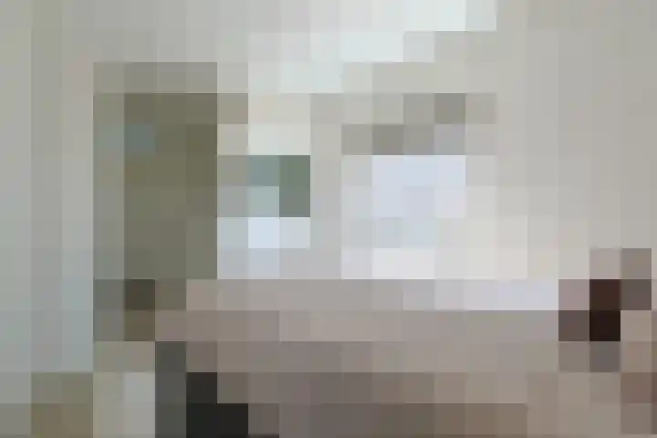 Dijkwacht 86 Leiderdorp thumbnail 19
