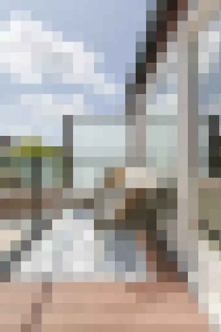 Dijkwacht 86 Leiderdorp thumbnail 25