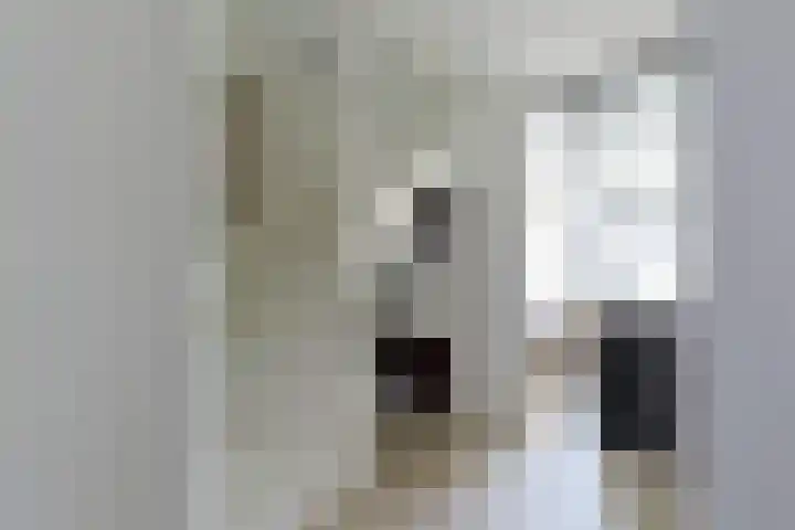 Dijkwacht 86 Leiderdorp thumbnail 5