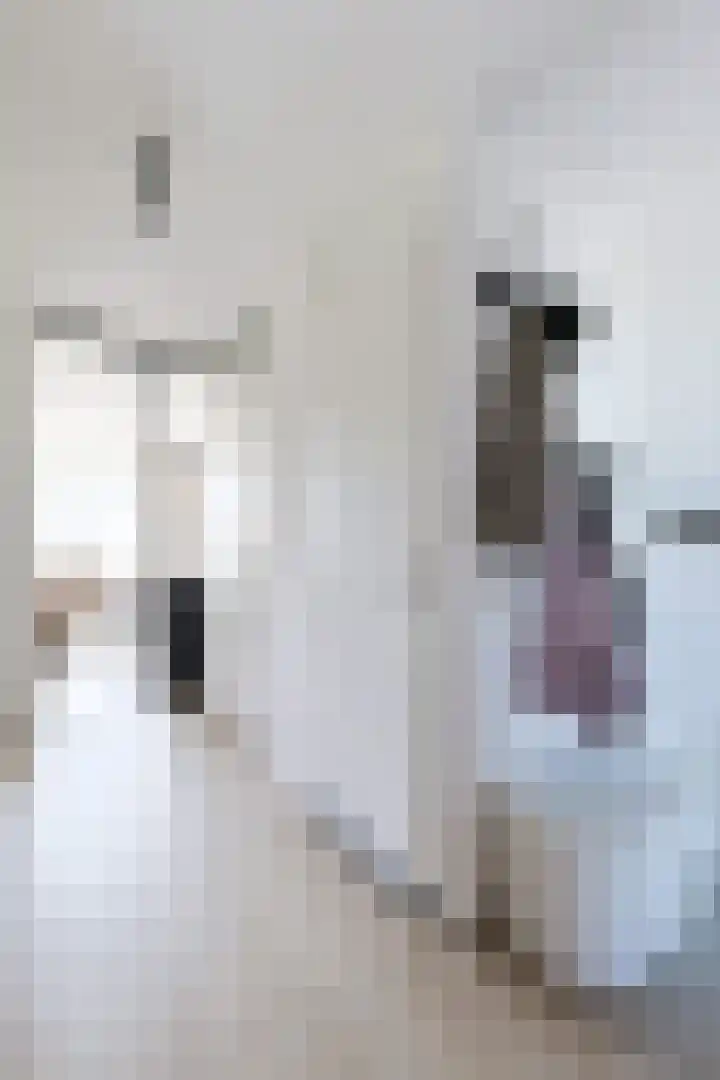 Dijkwacht 86 Leiderdorp thumbnail 8