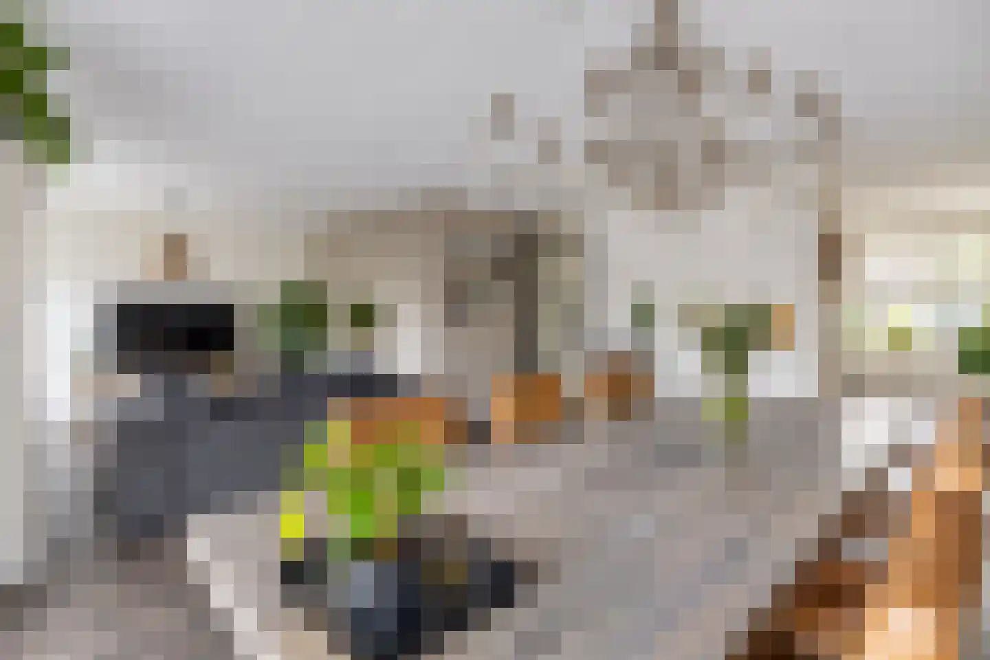 Dijkwachtsingel 20 Rotterdam thumbnail 18