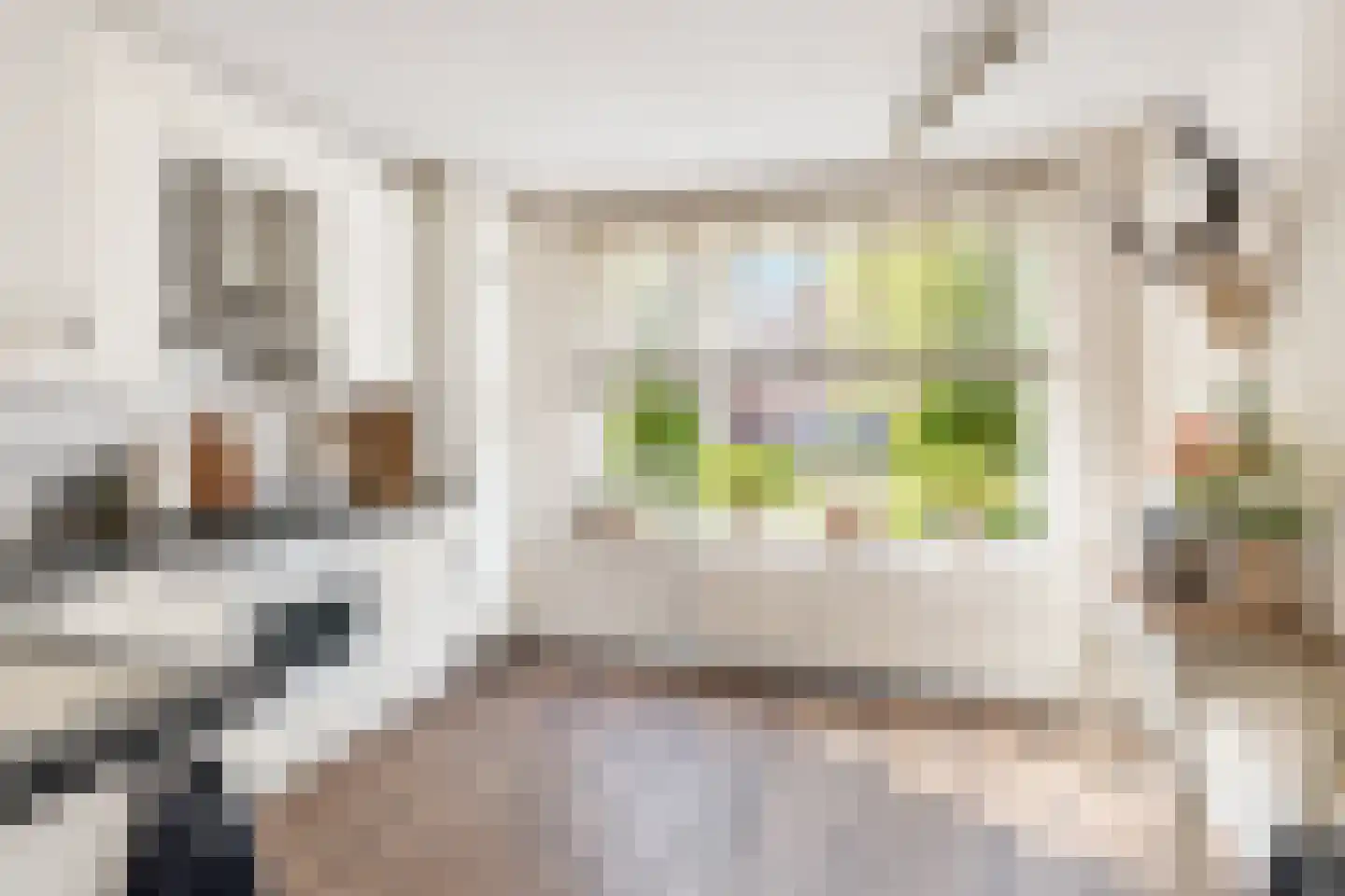 Dijkwachtsingel 20 Rotterdam thumbnail 21