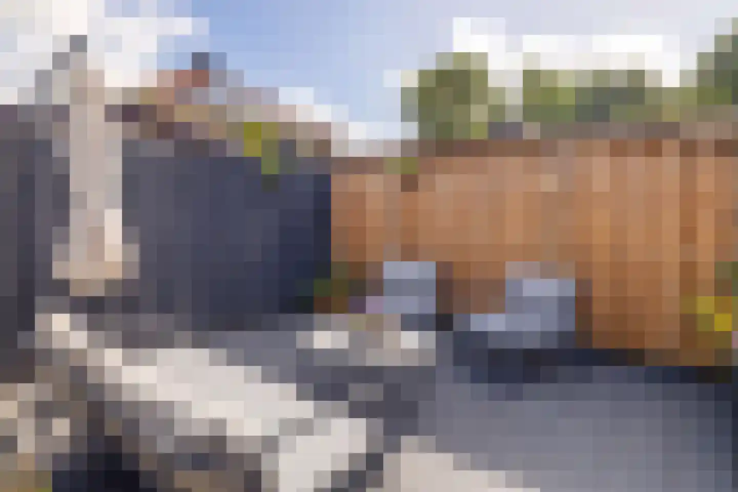 Dijkwachtsingel 20 Rotterdam thumbnail 29