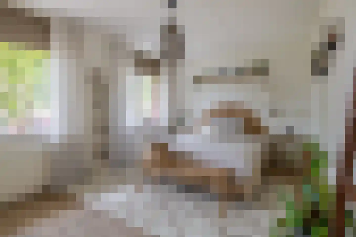 Dijkwachtsingel 20 Rotterdam thumbnail 35