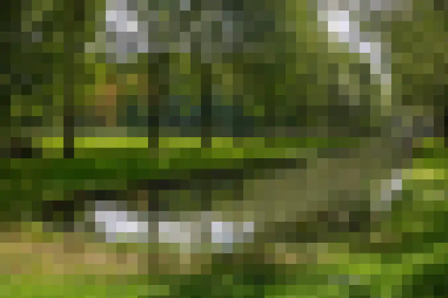 Dijkwachtsingel 20 Rotterdam thumbnail 47