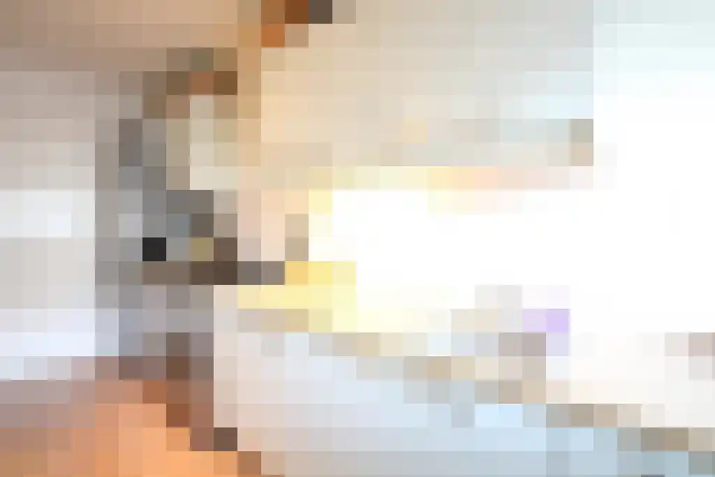 Dijkwater 135 Amsterdam thumbnail 6