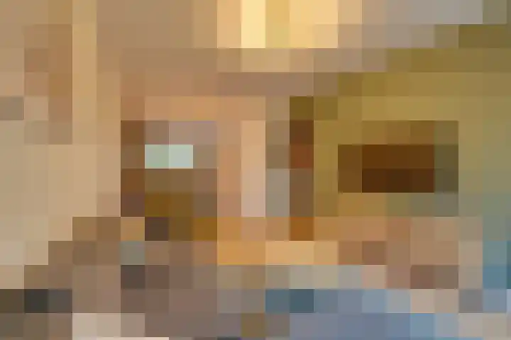 Dijkwater 149 Amsterdam thumbnail 22