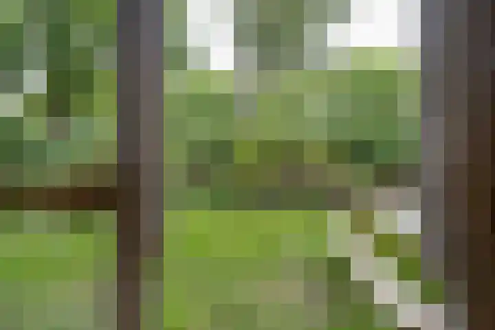 Dijkwater 149 Amsterdam thumbnail 27