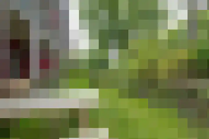 Dijkwater 149 Amsterdam thumbnail 29
