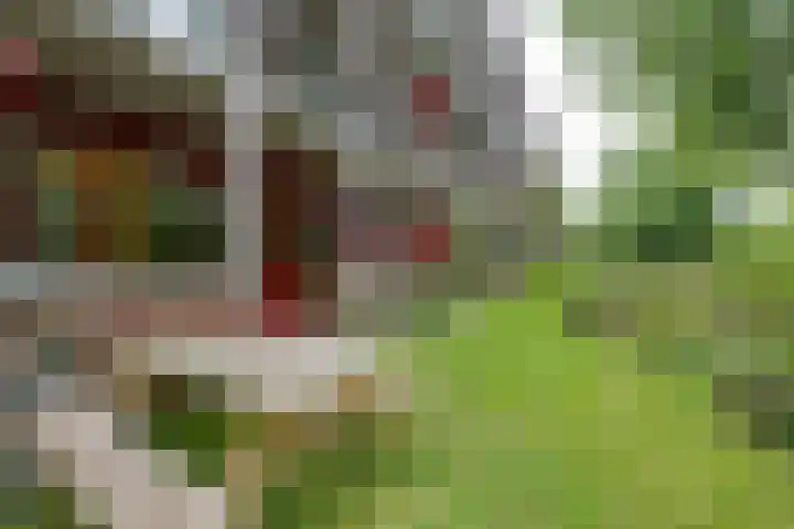 Dijkwater 149 Amsterdam thumbnail 30
