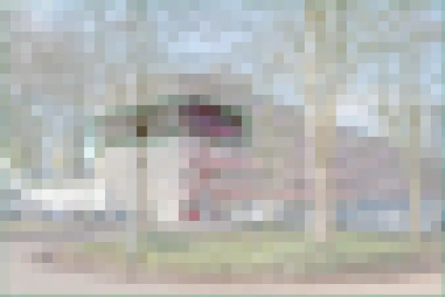 Dijkwater 189 Amsterdam thumbnail 5