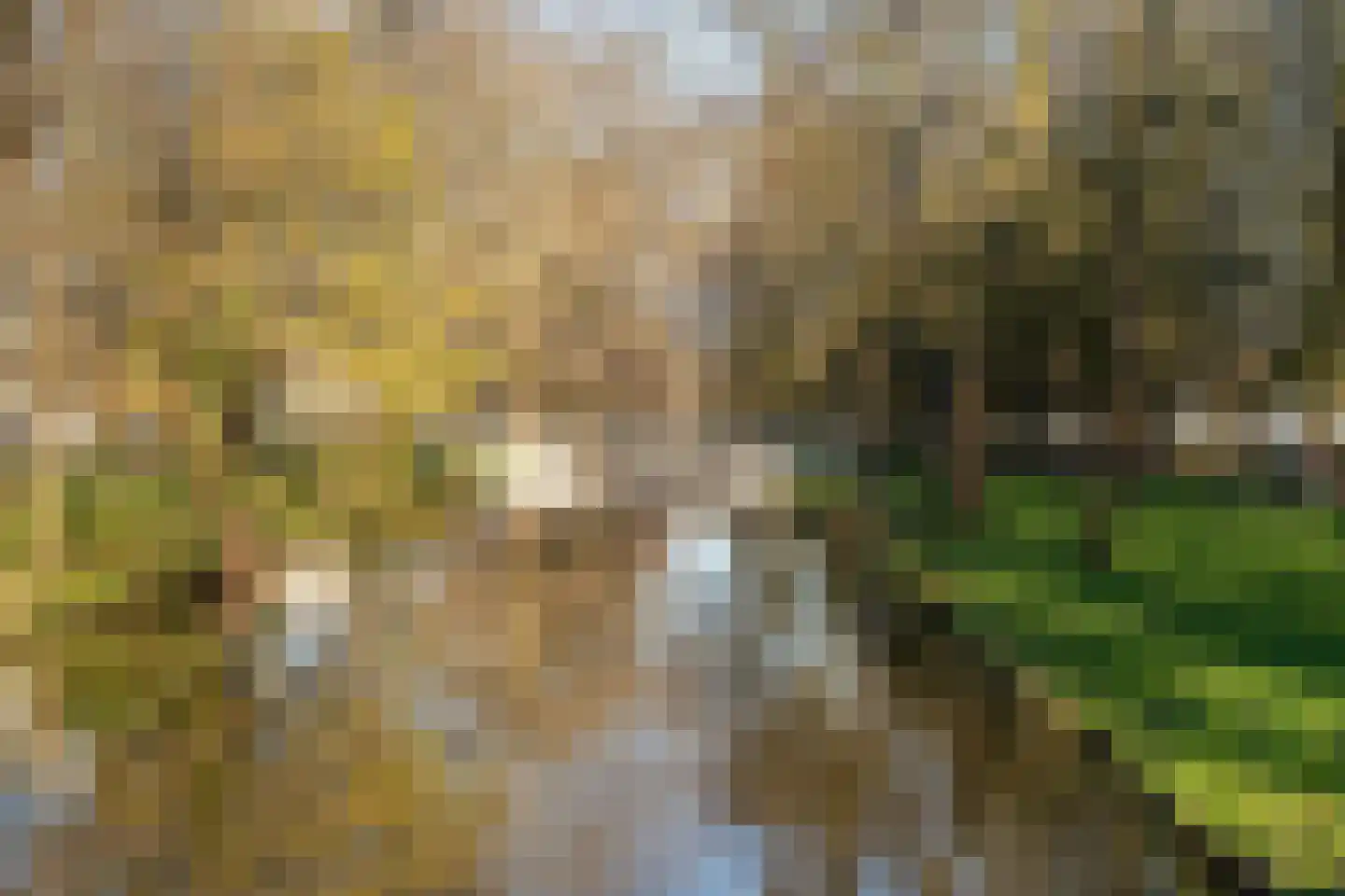 Dijkwater 189 Amsterdam thumbnail 67