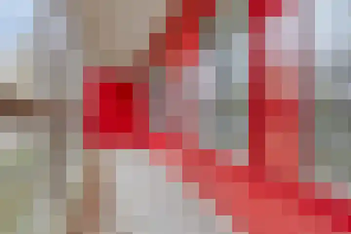 Dijkwater 209 Amsterdam thumbnail 17