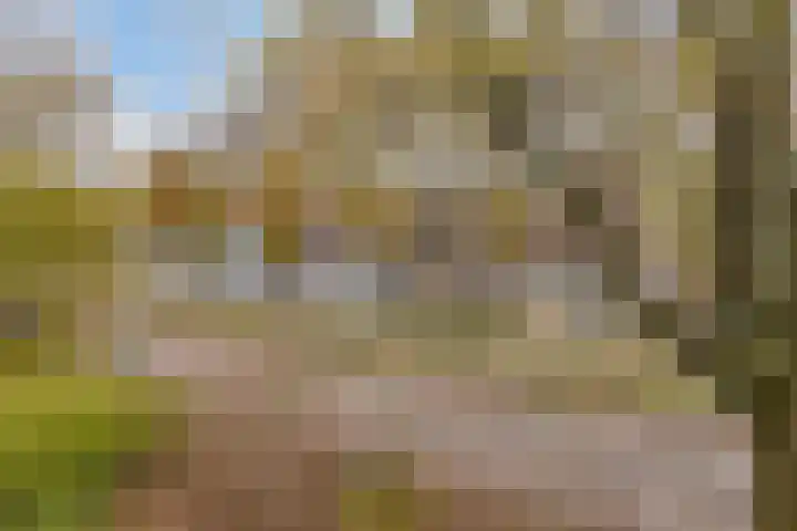 Dijkwater 209 Amsterdam thumbnail 20