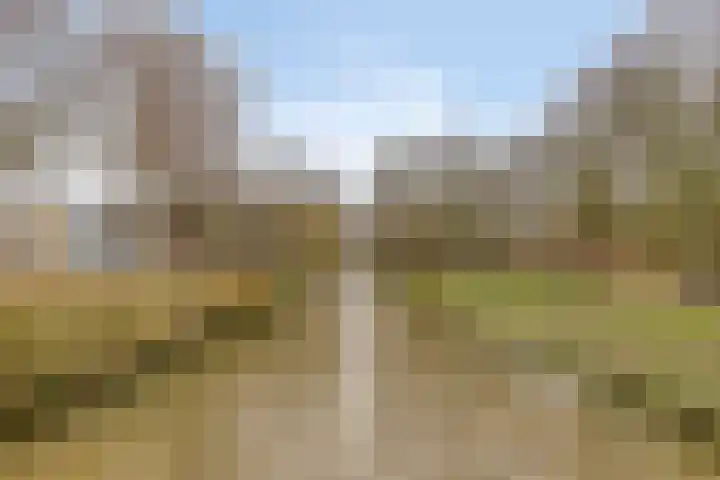 Dijkwater 209 Amsterdam thumbnail 22