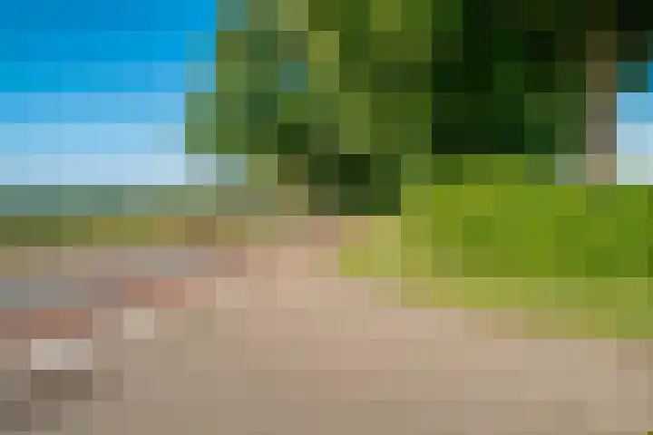 Dijkweg 1 A Gendringen thumbnail 10