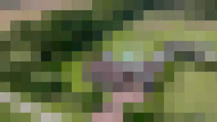 Dijkweg 1 A Gendringen thumbnail 11