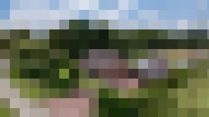 Dijkweg 1 A Gendringen thumbnail 12