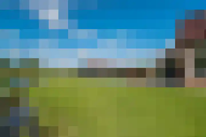 Dijkweg 1 A Gendringen thumbnail 8