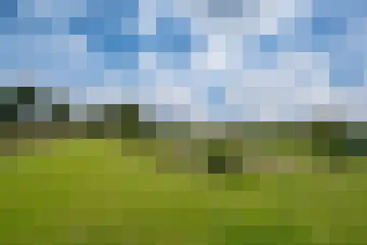 Dijkweg 1 A Gendringen thumbnail 87