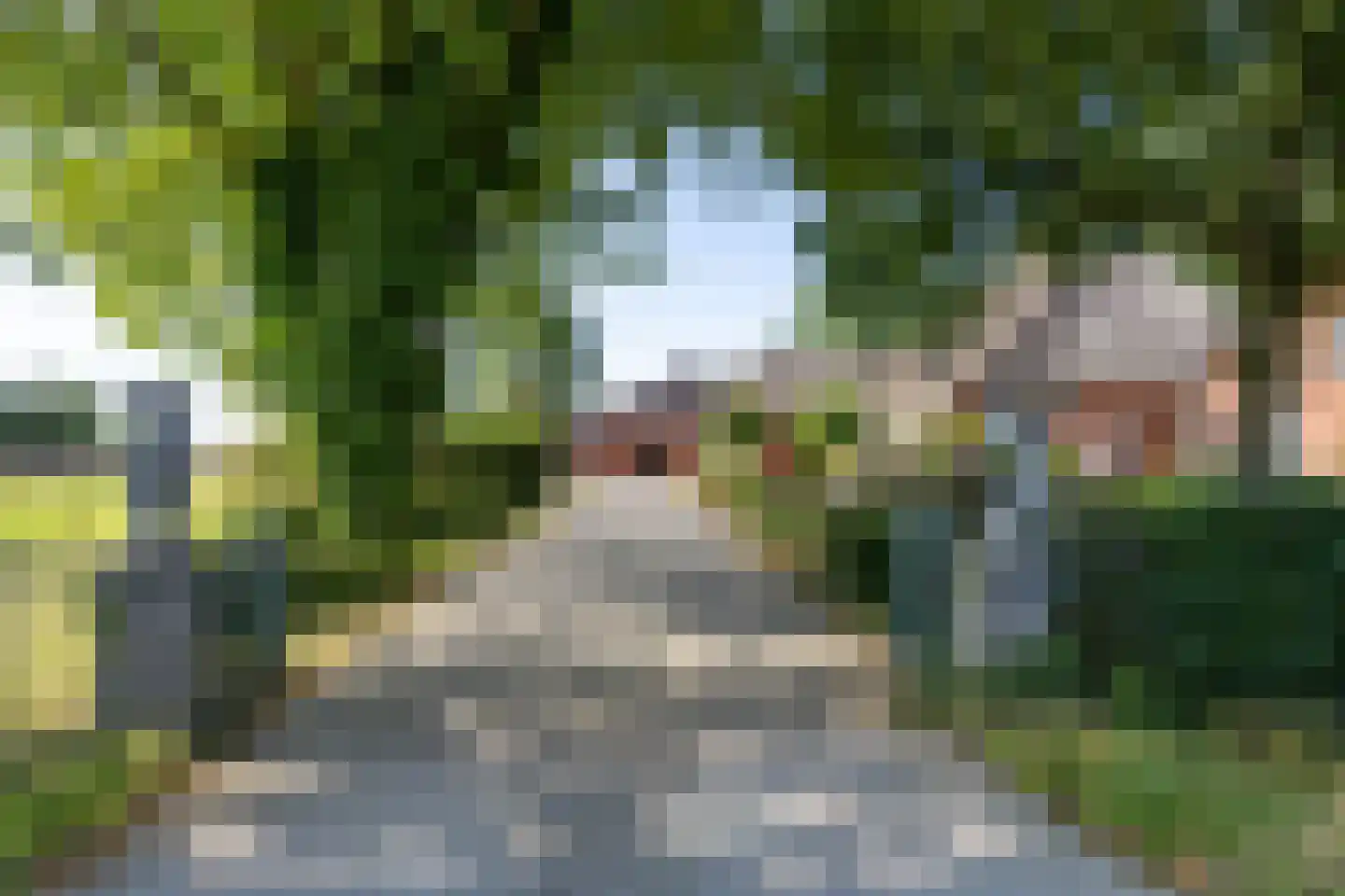 Dijkweg 1 Boerakker thumbnail 12