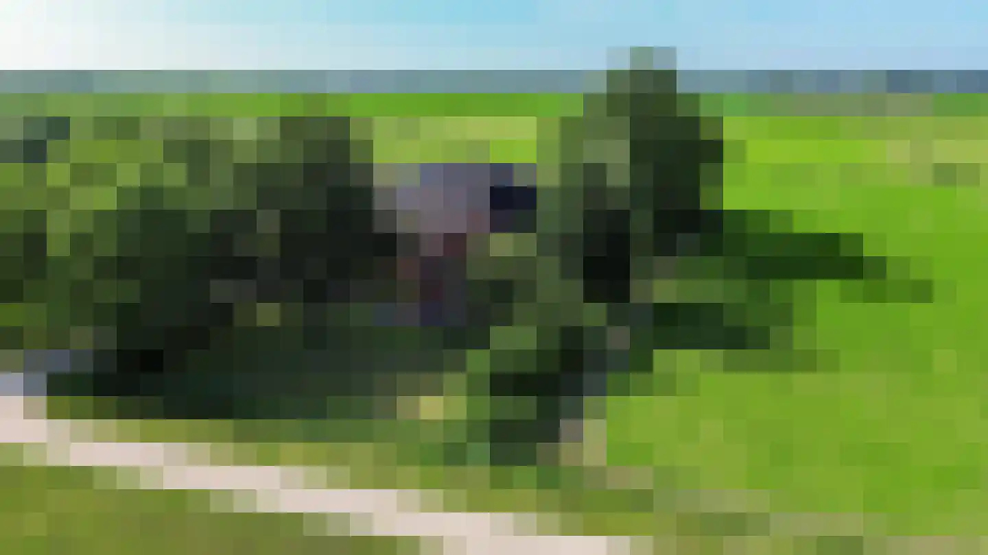 Dijkweg 1 Boerakker thumbnail 5