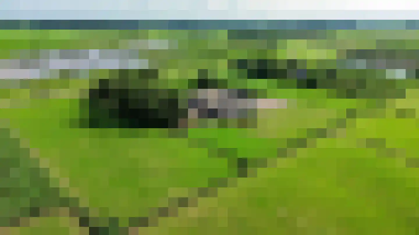 Dijkweg 1 Boerakker thumbnail 6
