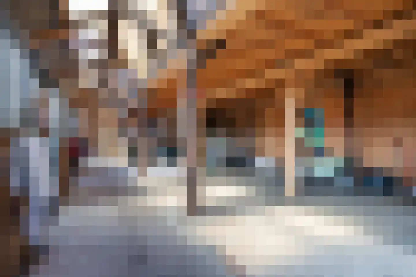 Dijkweg 1 Boerakker thumbnail 69