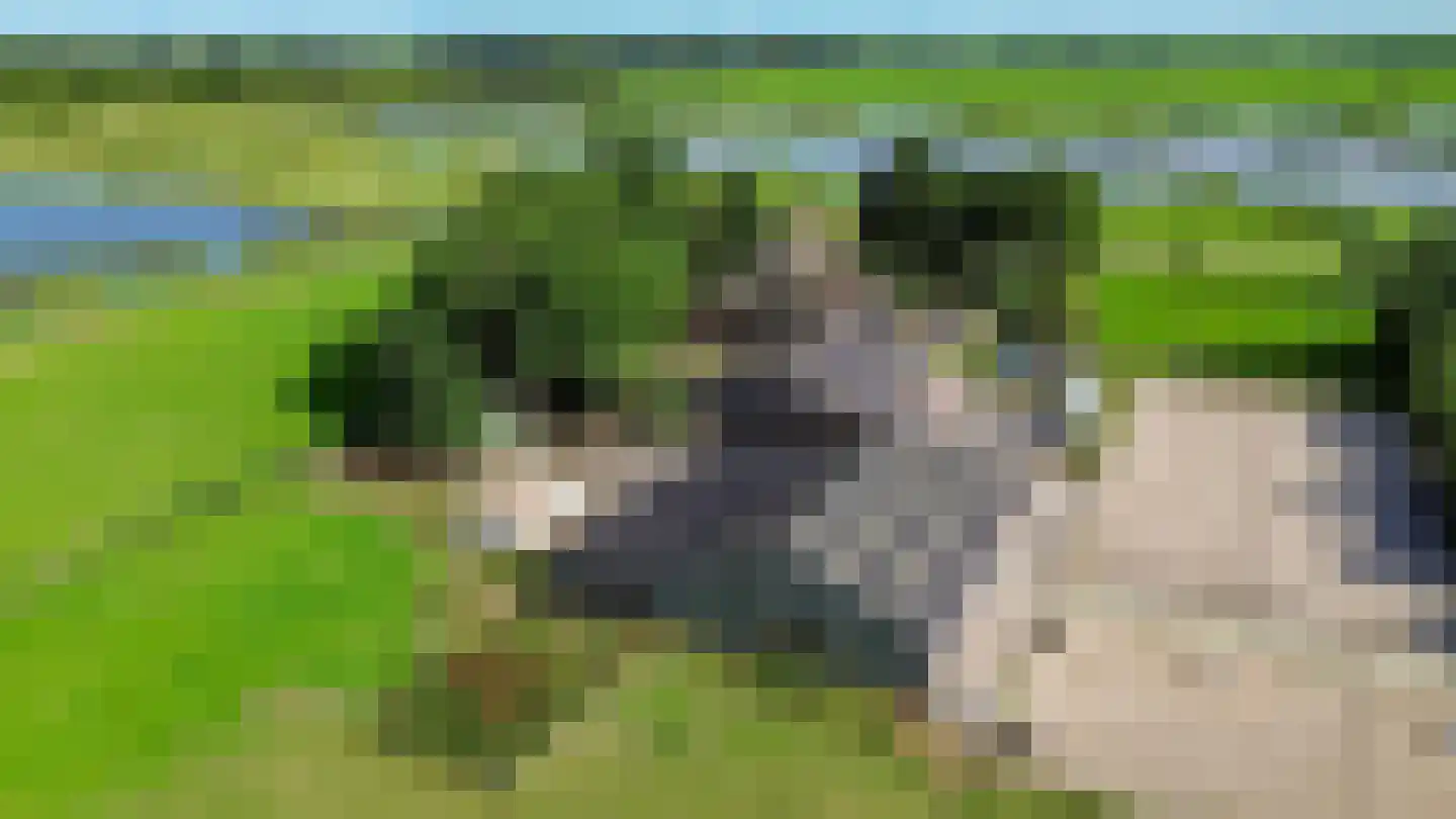 Dijkweg 1 Boerakker thumbnail 8