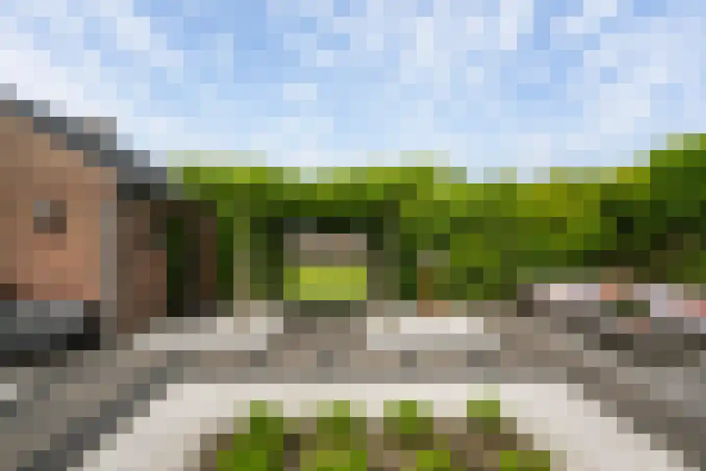 Dijkweg 119 Honselersdijk thumbnail 27