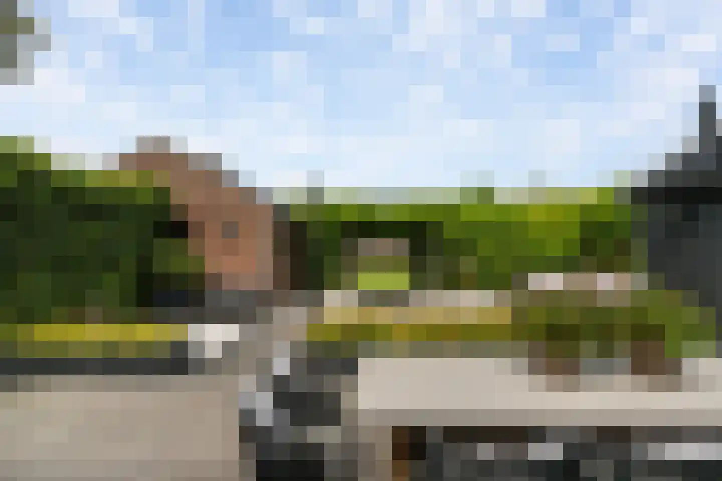 Dijkweg 119 Honselersdijk thumbnail 34