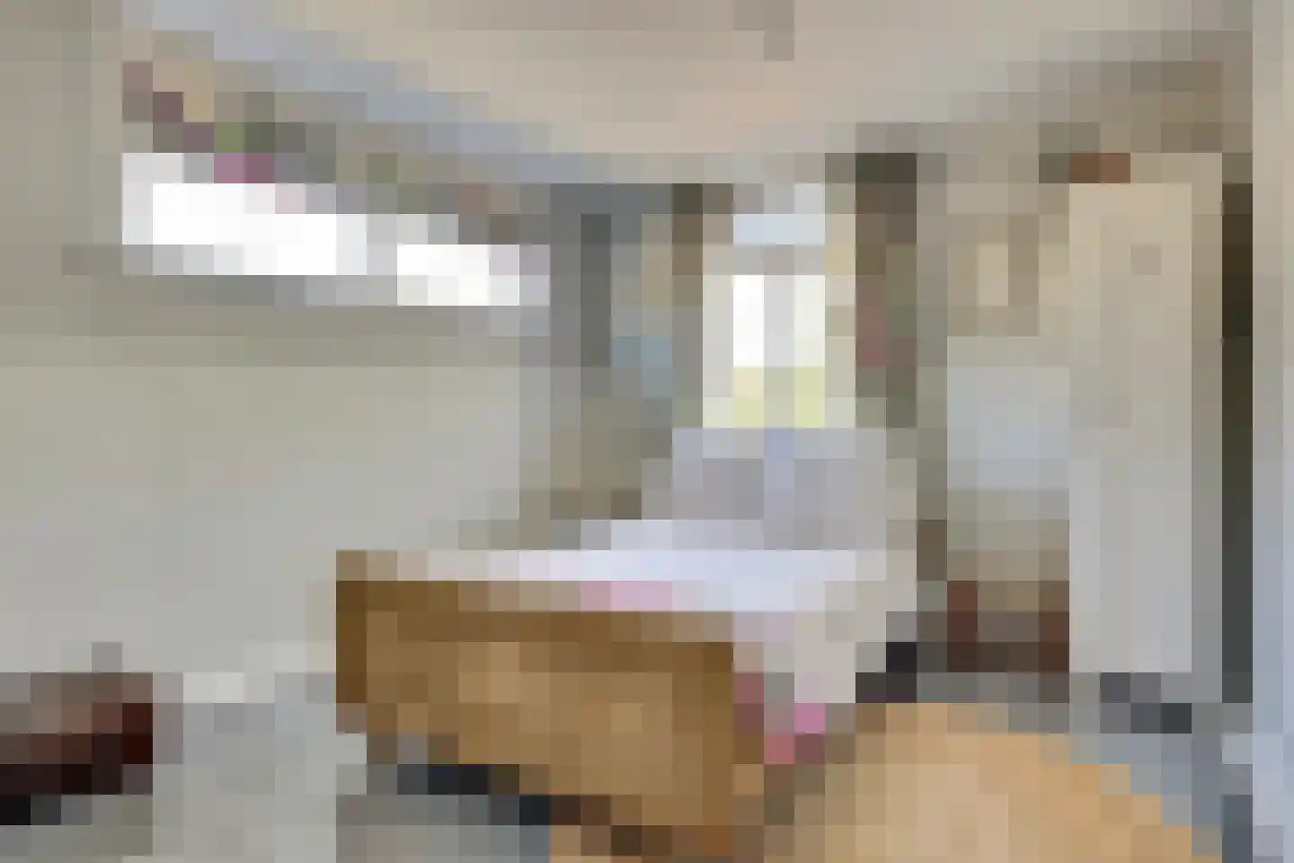 Dijkweg 132 Andijk thumbnail 16