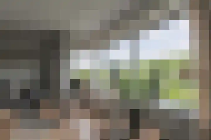 Dijkweg 141 Andijk thumbnail 10