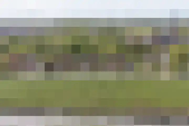 Dijkweg 141 Andijk thumbnail 13