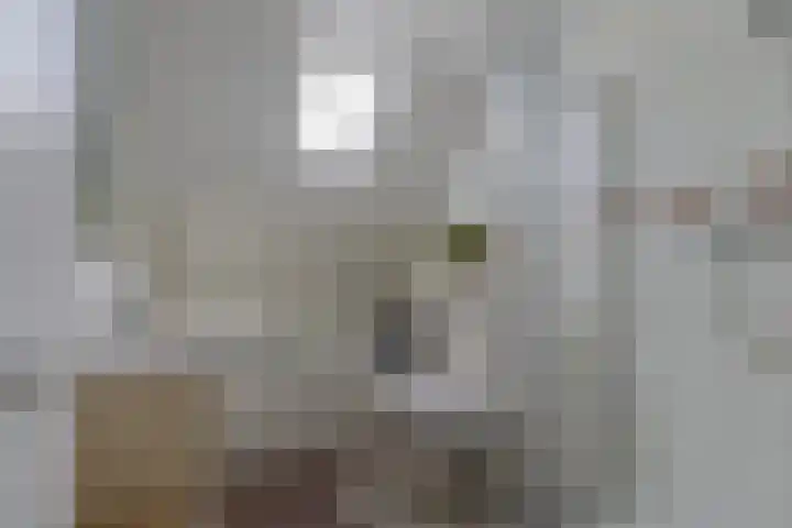 Dijkweg 141 Andijk thumbnail 37