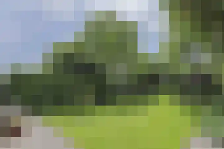 Dijkweg 141 Andijk thumbnail 4