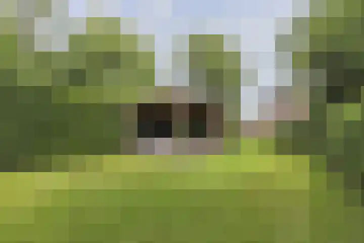 Dijkweg 141 Andijk thumbnail 48