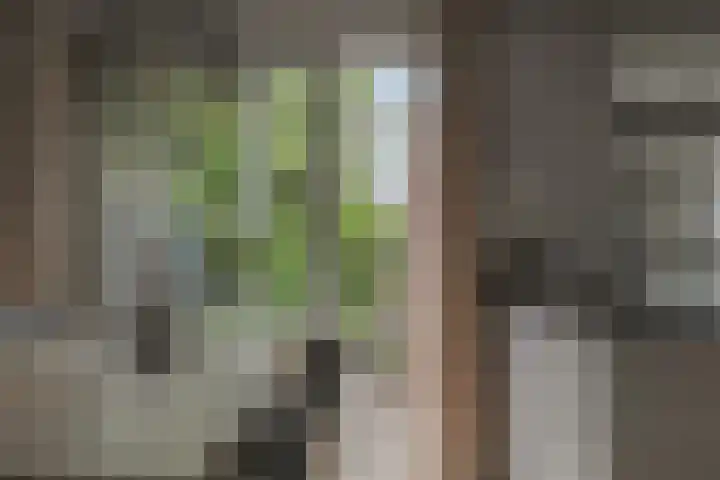 Dijkweg 141 Andijk thumbnail 6