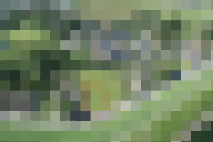 Dijkweg 150 Andijk thumbnail 5