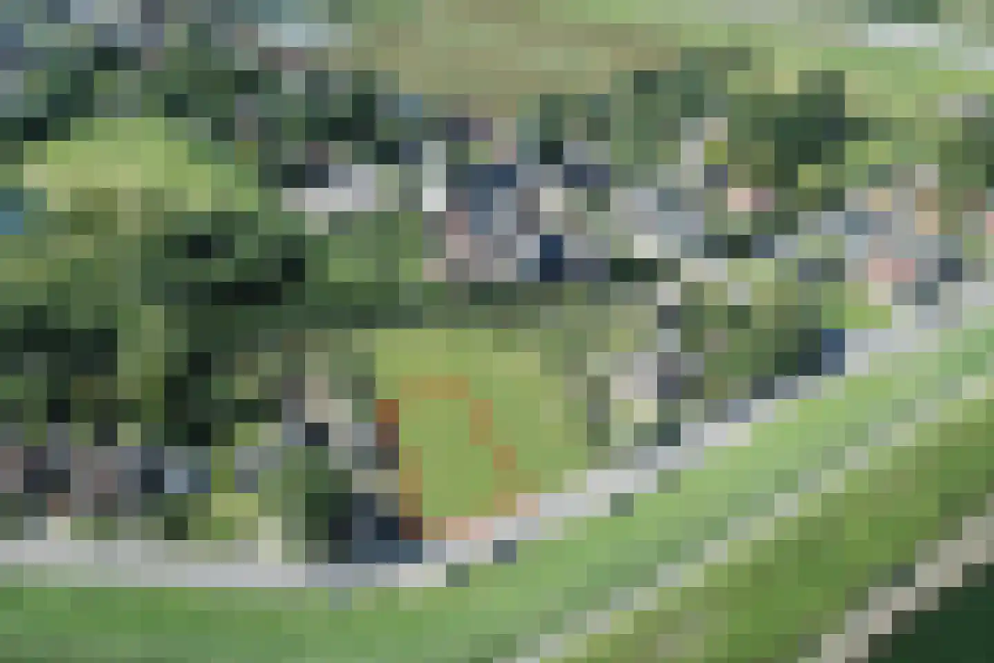 Dijkweg 150 Andijk thumbnail 7