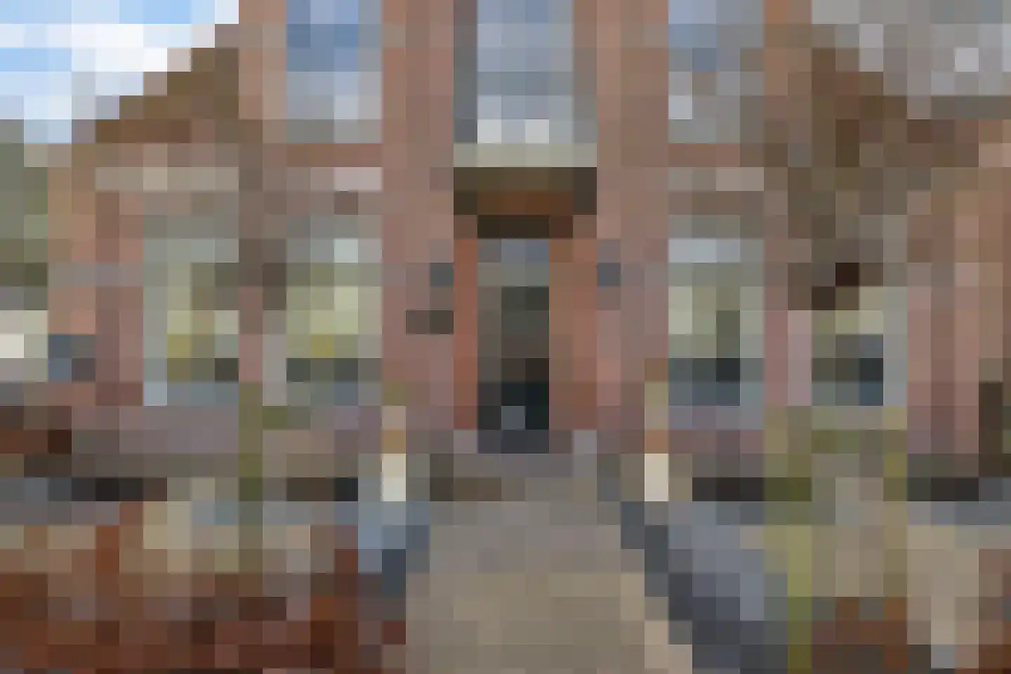 Dijkweg 167 Andijk thumbnail 9