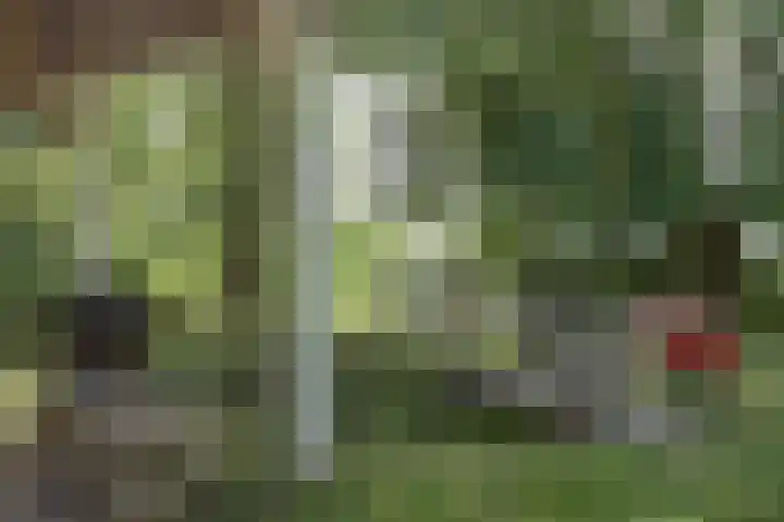 Dijkweg 173 Andijk thumbnail 4