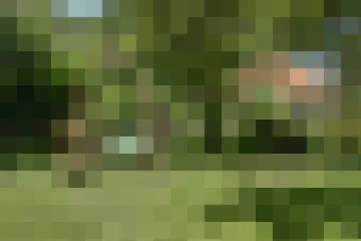 Dijkweg 173 Andijk thumbnail 60