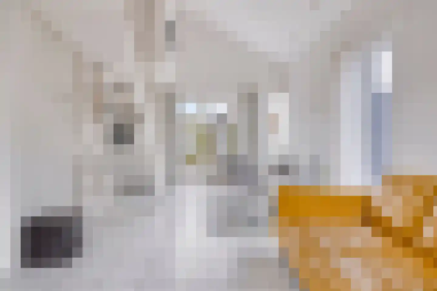 Dijkweg 18 Stavenisse thumbnail 10