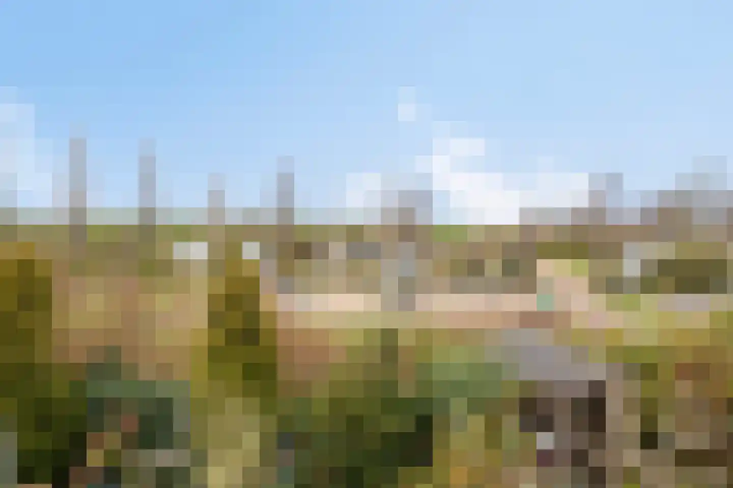Dijkweg 18 Stavenisse thumbnail 23