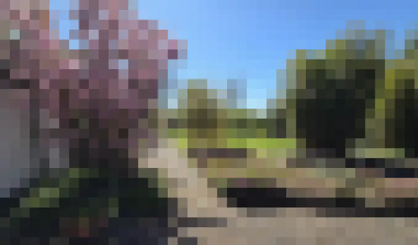 Dijkweg 181 Andijk thumbnail 36
