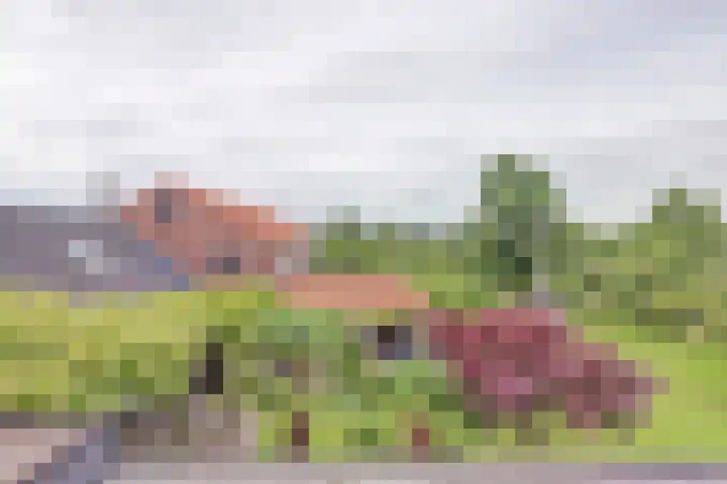 Dijkweg 199 Andijk thumbnail 35
