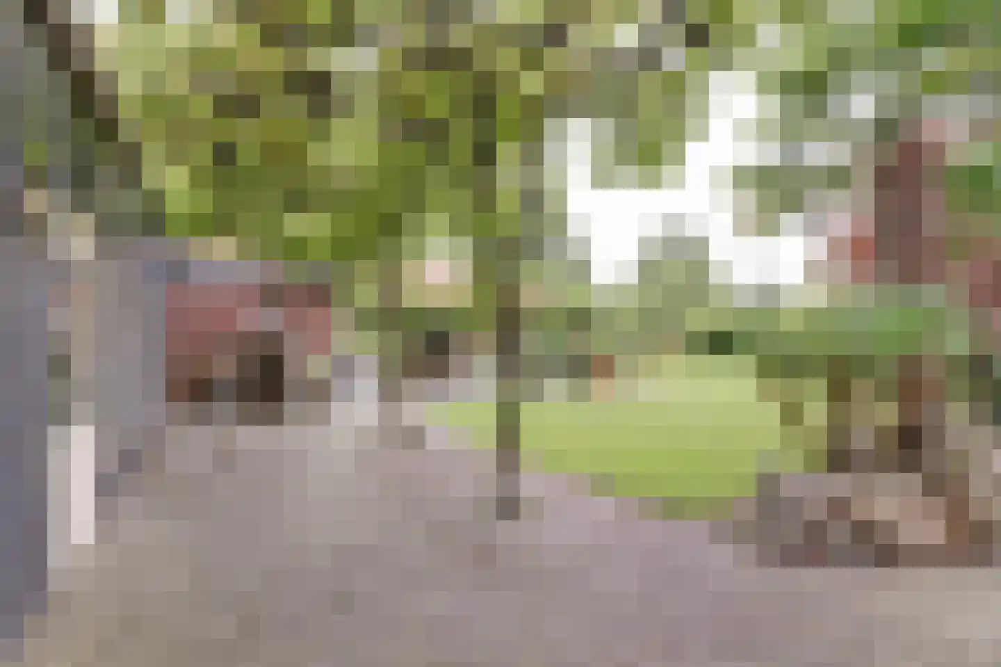 Dijkweg 199 Andijk thumbnail 46